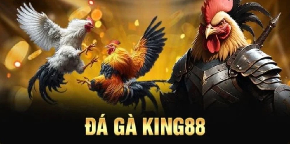 Các bước tham gia cược đơn giản và dễ dàng
